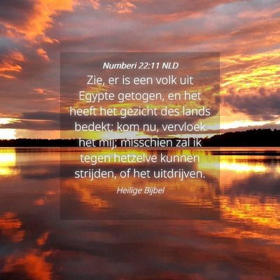Picture 04 - Numberi 22:11 NLD - Zie, er is een volk uit Egypte getogen, en het - Bible Verse Picture