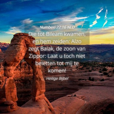 Picture 04 - Numberi 22:16 NLD - Die tot Bileam kwamen, en hem zeiden: Alzo zegt - Bible Verse Picture