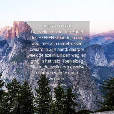 Picture 04 - Numberi 22:23 NLD - De ezelin nu zag den Engel des HEEREN staande in - Bible Verse Picture