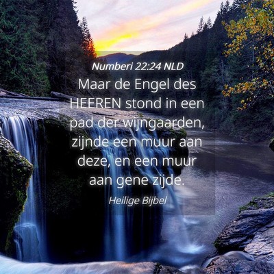 Picture 04 - Numberi 22:24 NLD - Maar de Engel des HEEREN stond in een pad der - Bible Verse Picture