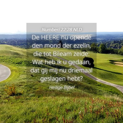 Picture 04 - Numberi 22:28 NLD - De HEERE nu opende den mond der ezelin, die tot - Bible Verse Picture