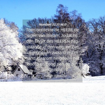 Picture 04 - Numberi 22:31 NLD - Toen ontdekte de HEERE de ogen van Bileam, zodat - Bible Verse Picture
