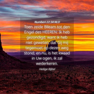 Picture 04 - Numberi 22:34 NLD - Toen zeide Bileam tot den Engel des HEEREN: Ik - Bible Verse Picture