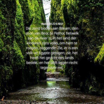 Picture 04 - Numberi 22:5 NLD - Die zond boden aan Bileam, den zoon van Beor, te - Bible Verse Picture