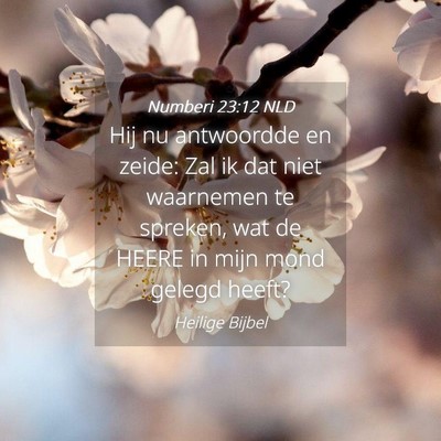 Picture 04 - Numberi 23:12 NLD - Hij nu antwoordde en zeide: Zal ik dat niet - Bible Verse Picture