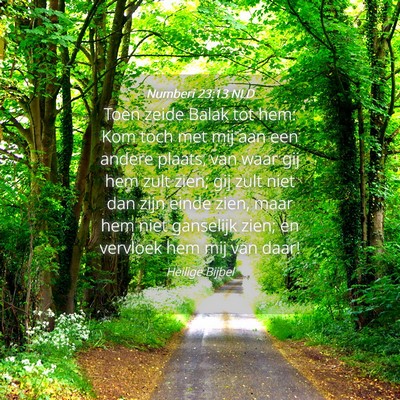 Picture 04 - Numberi 23:13 NLD - Toen zeide Balak tot hem: Kom toch met mij aan - Bible Verse Picture