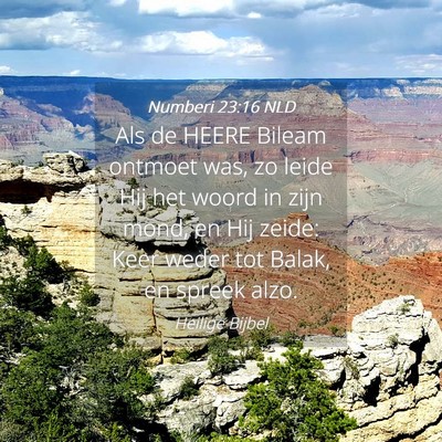 Picture 04 - Numberi 23:16 NLD - Als de HEERE Bileam ontmoet was, zo leide Hij het - Bible Verse Picture