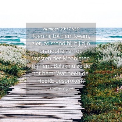 Picture 04 - Numberi 23:17 NLD - Toen hij tot hem kwam, ziet, zo stond hij bij - Bible Verse Picture