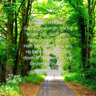 Picture 04 - Numberi 23:19 NLD - God is geen man, dat Hij liegen zou, noch eens - Bible Verse Picture