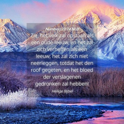 Picture 04 - Numberi 23:24 NLD - Zie, het volk zal opstaan als een oude leeuw, en - Bible Verse Picture