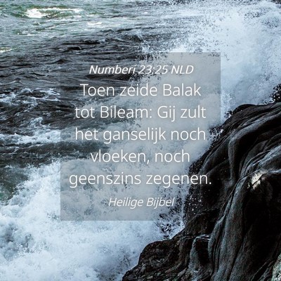Picture 04 - Numberi 23:25 NLD - Toen zeide Balak tot Bileam: Gij zult het - Bible Verse Picture