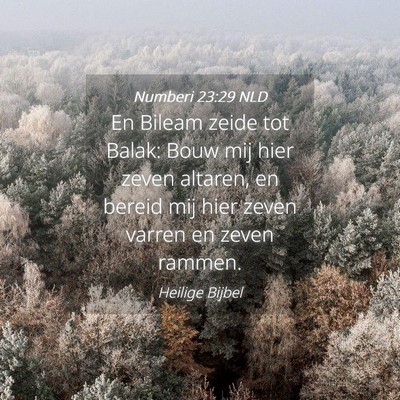 Picture 04 - Numberi 23:29 NLD - En Bileam zeide tot Balak: Bouw mij hier zeven - Bible Verse Picture