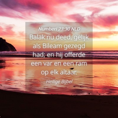 Picture 04 - Numberi 23:30 NLD - Balak nu deed, gelijk als Bileam gezegd had; en - Bible Verse Picture