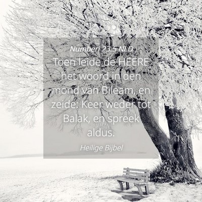 Picture 04 - Numberi 23:5 NLD - Toen leide de HEERE het woord in den mond van - Bible Verse Picture