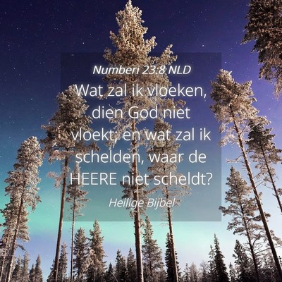 Picture 04 - Numberi 23:8 NLD - Wat zal ik vloeken, dien God niet vloekt; en wat - Bible Verse Picture