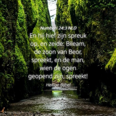 Picture 04 - Numberi 24:3 NLD - En hij hief zijn spreuk op, en zeide: Bileam, de - Bible Verse Picture