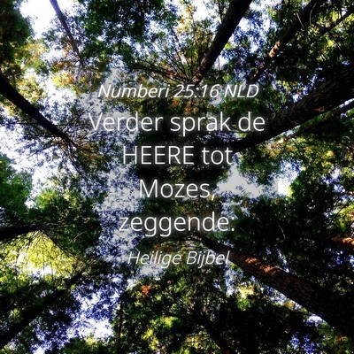 Picture 04 - Numberi 25:16 NLD - Verder sprak de HEERE tot Mozes, - Bible Verse Picture
