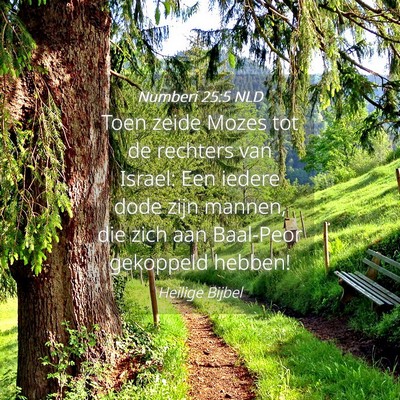 Picture 04 - Numberi 25:5 NLD - Toen zeide Mozes tot de rechters van Israel: Een - Bible Verse Picture