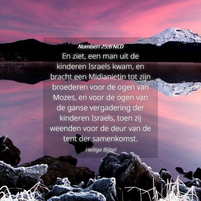Picture 04 - Numberi 25:6 NLD - En ziet, een man uit de kinderen Israels kwam, en - Bible Verse Picture