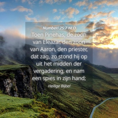 Picture 04 - Numberi 25:7 NLD - Toen Pinehas, de zoon van Eleazar, den zoon van - Bible Verse Picture