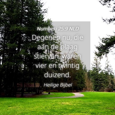 Picture 04 - Numberi 25:9 NLD - Degenen nu, die aan de plaag stierven, waren vier - Bible Verse Picture
