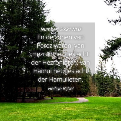 Picture 04 - Numberi 26:21 NLD - En de zonen van Perez waren: van Hezron het - Bible Verse Picture
