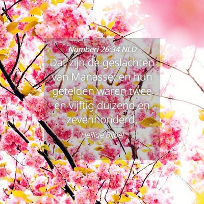 Picture 04 - Numberi 26:34 NLD - Dat zijn de geslachten van Manasse: en hun - Bible Verse Picture