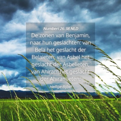 Picture 04 - Numberi 26:38 NLD - De zonen van Benjamin, naar hun geslachten: van - Bible Verse Picture