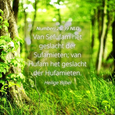 Picture 04 - Numberi 26:39 NLD - Van Sefufam het geslacht der Sufamieten; van - Bible Verse Picture