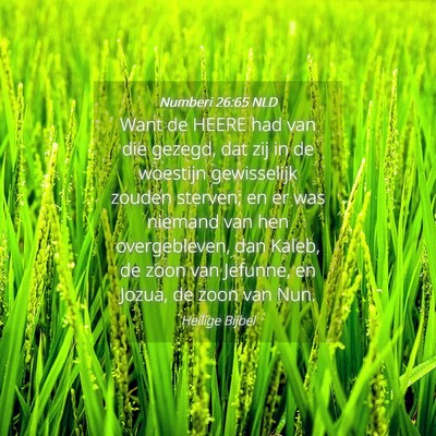 Picture 04 - Numberi 26:65 NLD - Want de HEERE had van die gezegd, dat zij in de - Bible Verse Picture