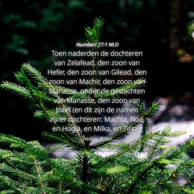 Picture 04 - Numberi 27:1 NLD - Toen naderden de dochteren van Zelafead, den zoon - Bible Verse Picture