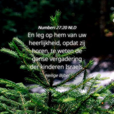 Picture 04 - Numberi 27:20 NLD - En leg op hem van uw heerlijkheid, opdat zij - Bible Verse Picture