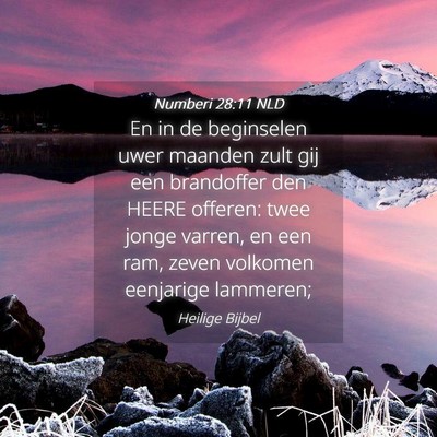 Picture 04 - Numberi 28:11 NLD - En in de beginselen uwer maanden zult gij een - Bible Verse Picture
