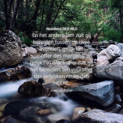 Picture 04 - Numberi 28:8 NLD - En het andere lam zult gij bereiden tussen de - Bible Verse Picture
