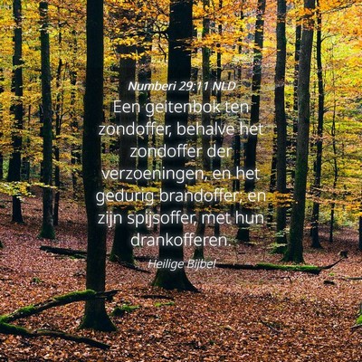 Picture 04 - Numberi 29:11 NLD - Een geitenbok ten zondoffer, behalve het - Bible Verse Picture