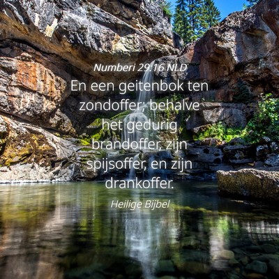 Picture 04 - Numberi 29:16 NLD - En een geitenbok ten zondoffer; behalve het - Bible Verse Picture