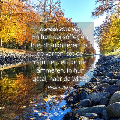 Picture 04 - Numberi 29:18 NLD - En hun spijsoffer, en hun drankofferen tot de - Bible Verse Picture