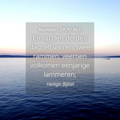 Picture 04 - Numberi 29:20 NLD - En op den derden dag: elf varren, twee rammen, - Bible Verse Picture