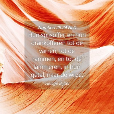 Picture 04 - Numberi 29:24 NLD - Hun spijsoffer, en hun drankofferen tot de - Bible Verse Picture