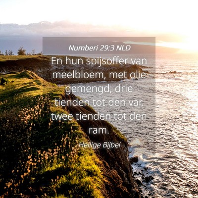 Picture 04 - Numberi 29:3 NLD - En hun spijsoffer van meelbloem, met olie - Bible Verse Picture