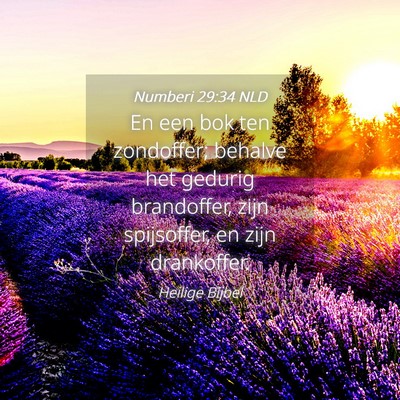 Picture 04 - Numberi 29:34 NLD - En een bok ten zondoffer; behalve het gedurig - Bible Verse Picture
