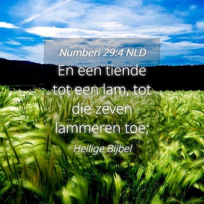 Picture 04 - Numberi 29:4 NLD - En een tiende tot een lam, tot die zeven lammeren - Bible Verse Picture