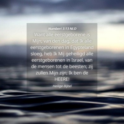 Picture 04 - Numberi 3:13 NLD - Want alle eerstgeborene is Mijn; van den dag, dat - Bible Verse Picture