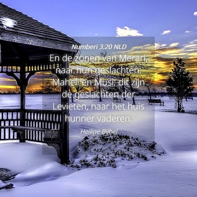 Picture 04 - Numberi 3:20 NLD - En de zonen van Merari, naar hun geslachten: - Bible Verse Picture