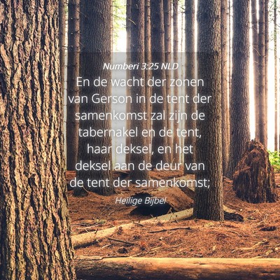 Picture 04 - Numberi 3:25 NLD - En de wacht der zonen van Gerson in de tent der - Bible Verse Picture