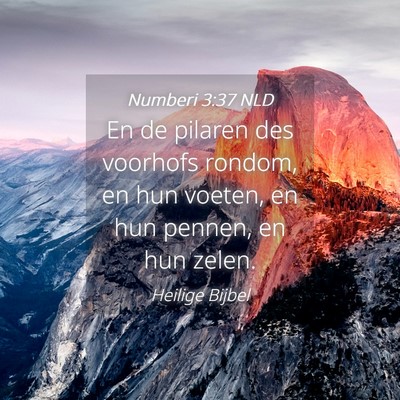 Picture 04 - Numberi 3:37 NLD - En de pilaren des voorhofs rondom, en hun voeten, - Bible Verse Picture
