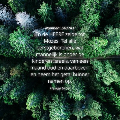 Picture 04 - Numberi 3:40 NLD - En de HEERE zeide tot Mozes: Tel alle - Bible Verse Picture