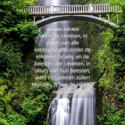 Picture 04 - Numberi 3:45 NLD - Neem de Levieten, in plaats van alle - Bible Verse Picture