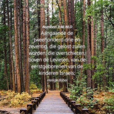 Picture 04 - Numberi 3:46 NLD - Aangaande de tweehonderd drie en zeventig, die - Bible Verse Picture
