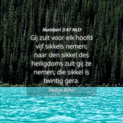 Picture 04 - Numberi 3:47 NLD - Gij zult voor elk hoofd vijf sikkels nemen; naar - Bible Verse Picture